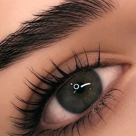 Lashes